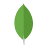 MongoDB image